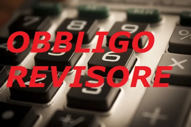 Il Bilancio 2019 è soggetto a revisione contabile