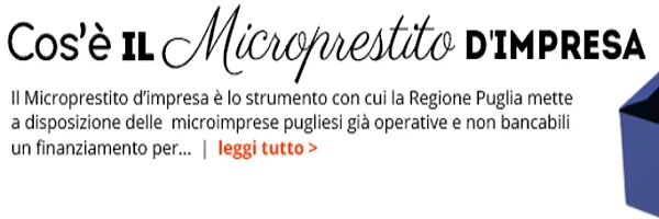 MicroPrestito d'impresa