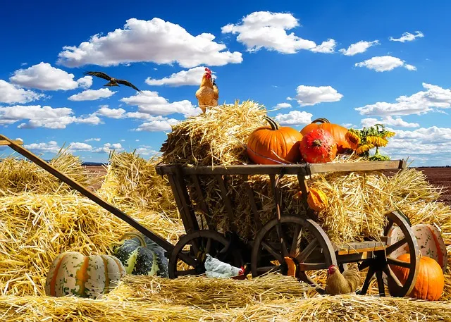 ISI AGRICOLTURA 2016: incentivi alle imprese per la sicurezza sul lavoro